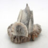 Zuni Todd Lowsayatee Carved Deer Antler Bird Fetish - Image 5