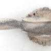 Zuni Todd Lowsayatee Carved Deer Antler Bird Fetish - Image 6