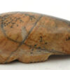 Zuni Fred Weekaty Carved Jasper Mole Fetish - Image 3
