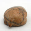 Zuni Fred Weekaty Carved Jasper Mole Fetish - Image 4