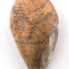 Zuni Fred Weekaty Carved Jasper Mole Fetish - Image 6