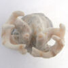 Zuni Lewis Malie Carved Deer Antler Deer Fetish - Image 6