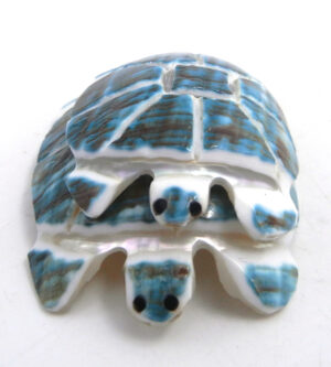 Zuni carved sea snail shell piggy back turtle fetish by Cheryl Beyuka