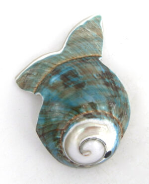 Zuni Cheryl Beyuka Carved Sea Snail Shell Fish Fetish